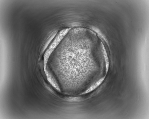 X0000085770057200704091400