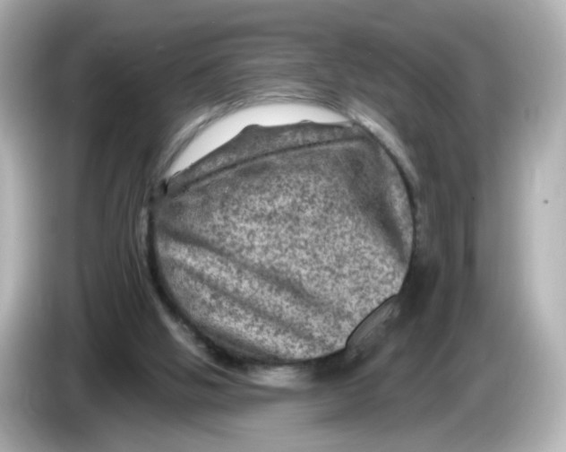 X0000085770058200704091400