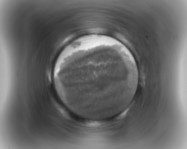 X0000085770062200704091400