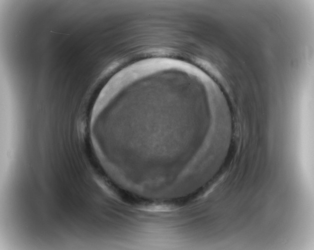 X0000085770063200704091400