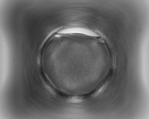 X0000085770064200704091400