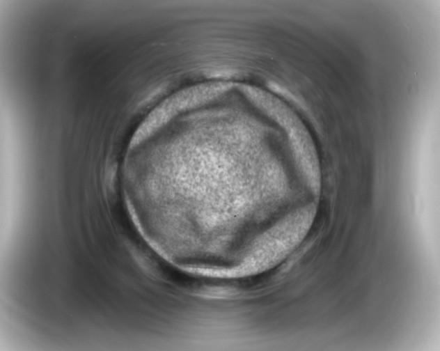 X0000085770066200704091400