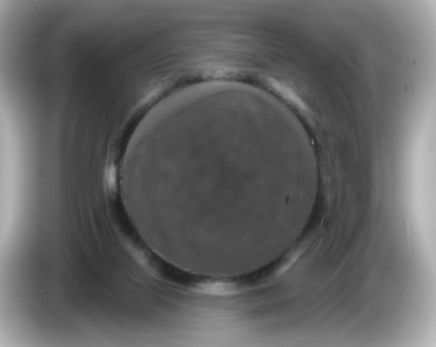 X0000085770067200704091400