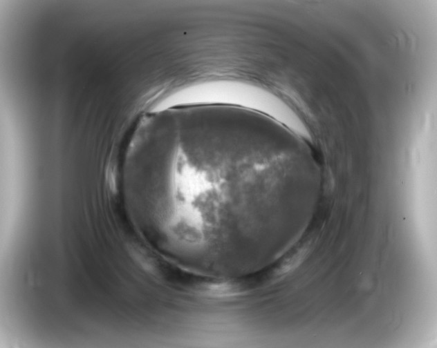 X0000085770068200704091400