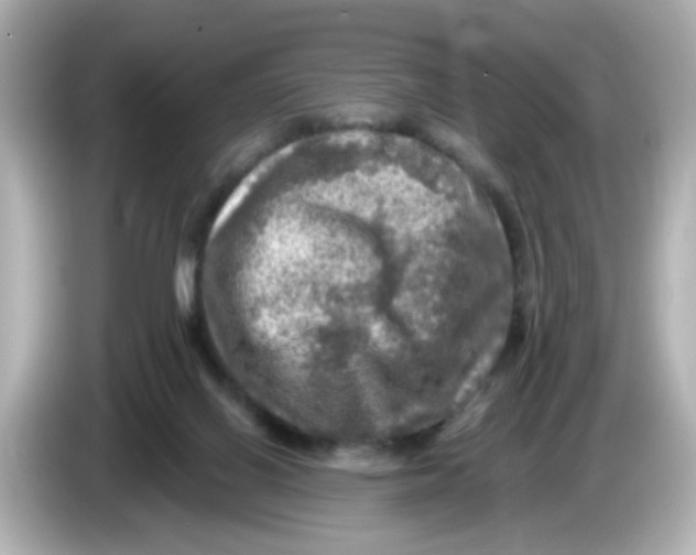 X0000085770070200704091400