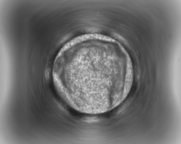 X0000085770071200704091400