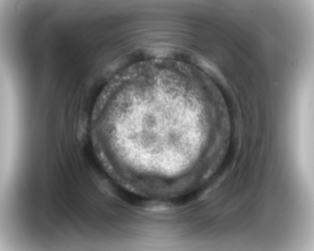 X0000085770073200704091401