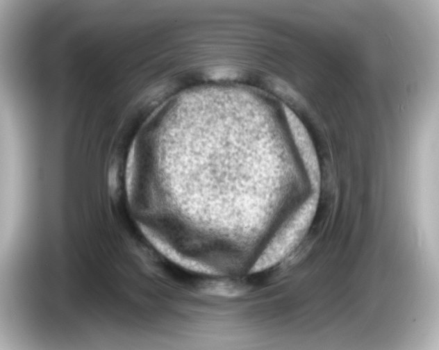 X0000085770074200704091401