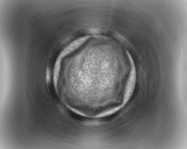 X0000085770075200704091401