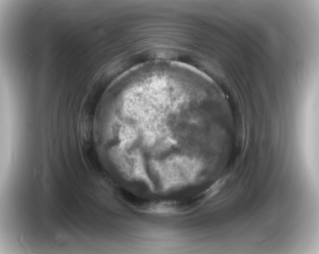 X0000085770078200704091401