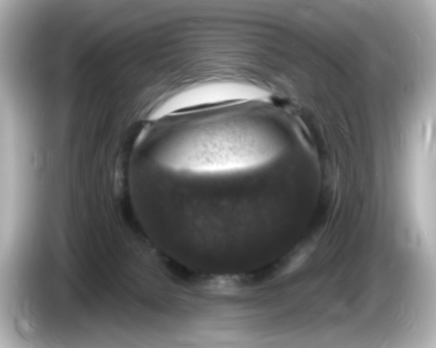 X0000085770080200704091401