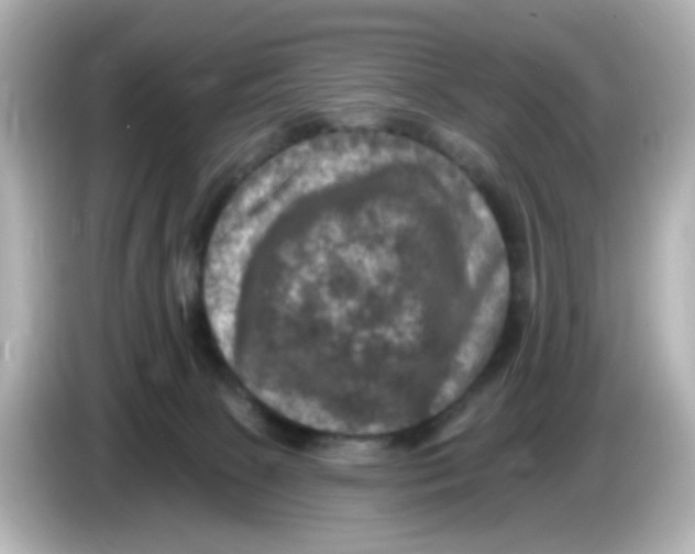 X0000085770081200704091401