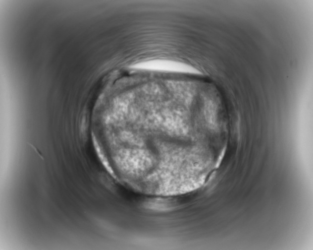 X0000085770082200704091401