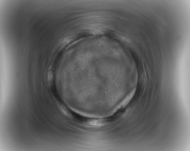 X0000085770084200704091401