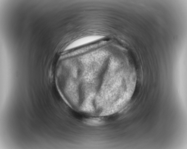 X0000085770086200704091401