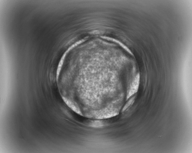 X0000085770091200704091401