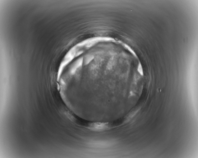 X0000085770093200704091401