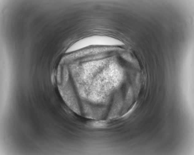 X0000085770094200704091401