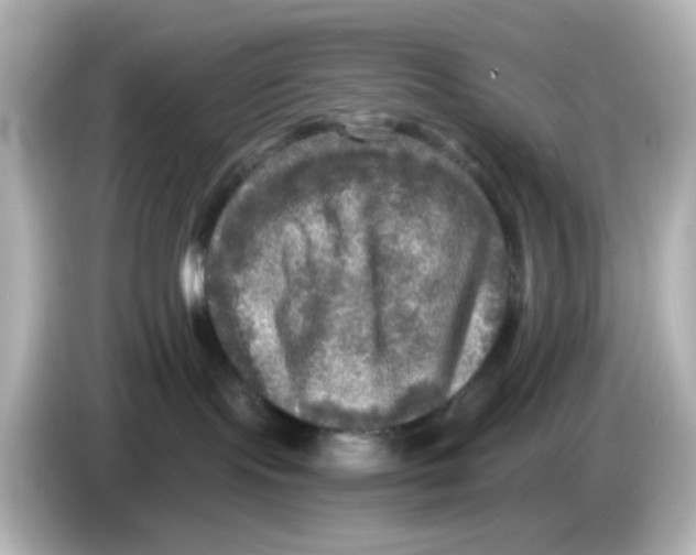 X0000085770095200704091401