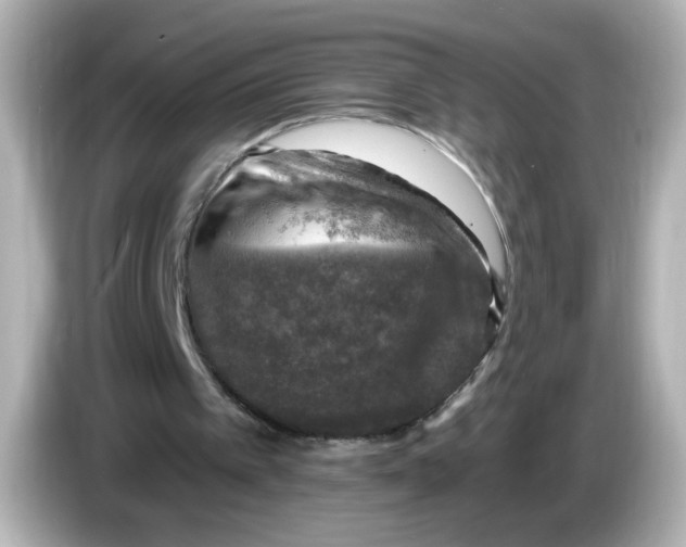 X0000085770097200704091400