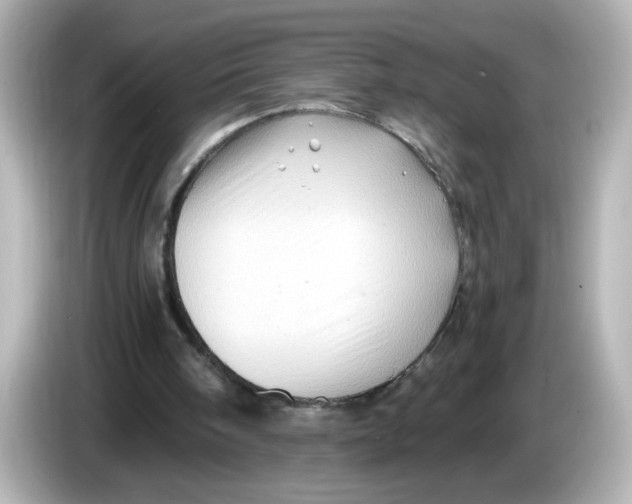 X0000085770098200704091400