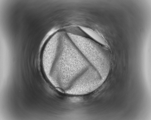 X0000085770102200704091400