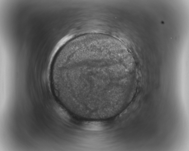 X0000085770104200704091400