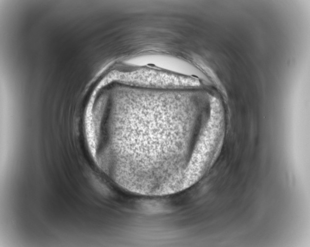 X0000085770106200704091400