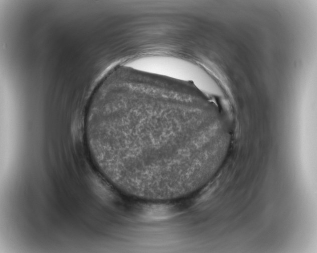 X0000085770107200704091400