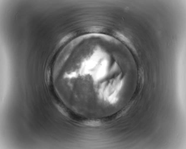 X0000085770110200704091400