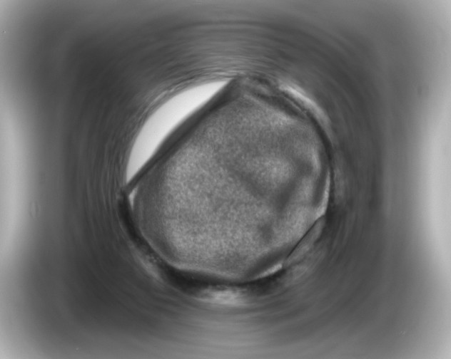 X0000085770113200704091400