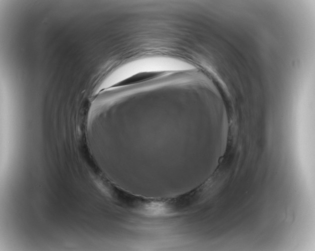 X0000085770114200704091400