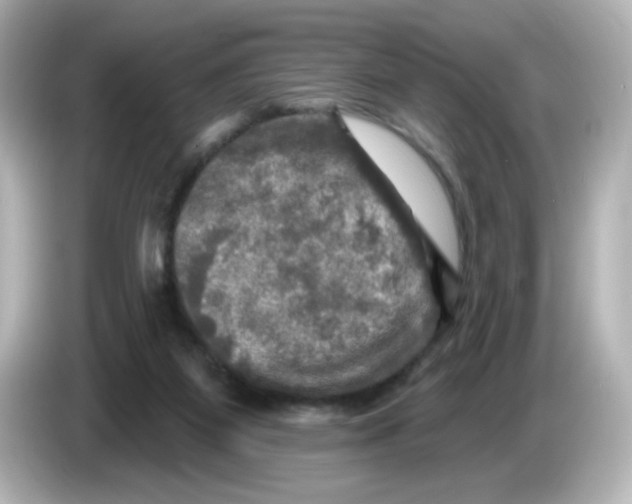 X0000085770115200704091400