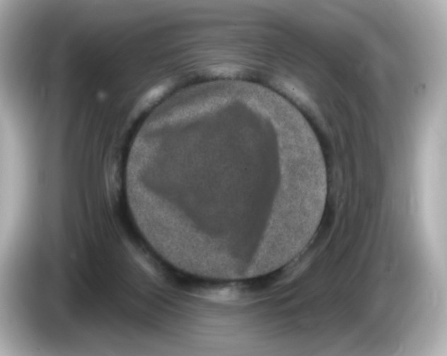 X0000085770116200704091400