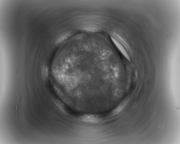 X0000085770117200704091400