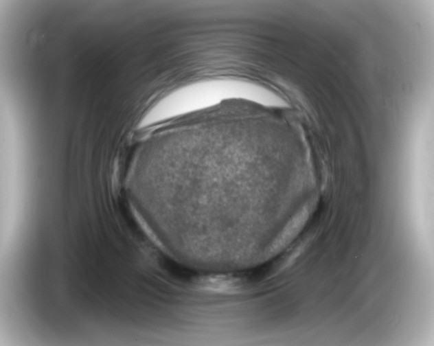 X0000085770121200704091400