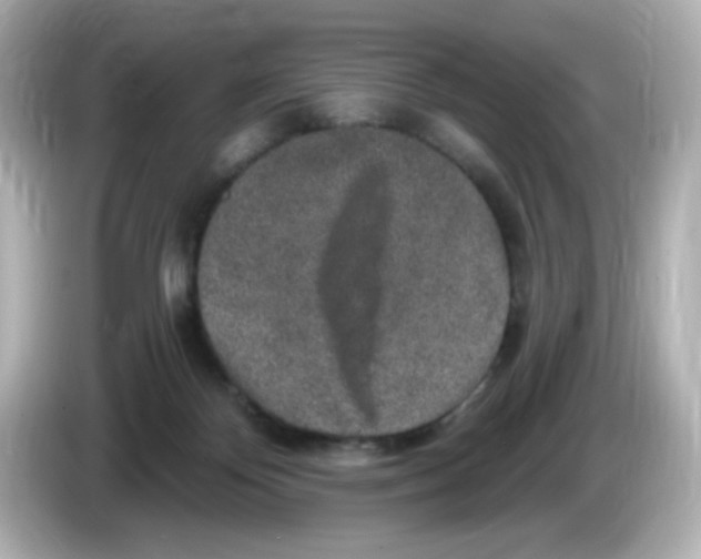 X0000085770124200704091400