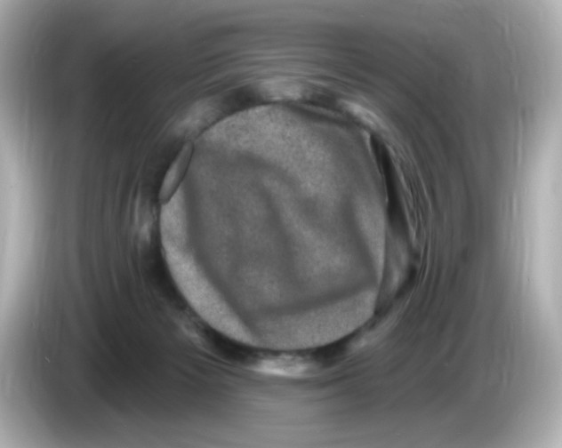 X0000085770125200704091400