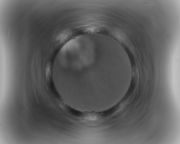 X0000085770127200704091400