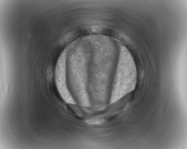 X0000085770129200704091400