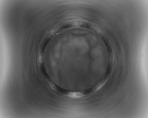 X0000085770137200704091359