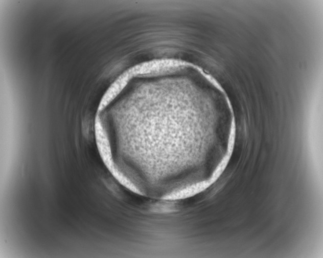 X0000085770138200704091359