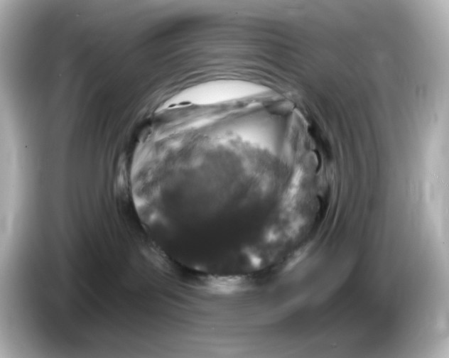 X0000085770143200704091359