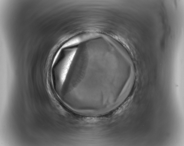 X0000085770145200704091359