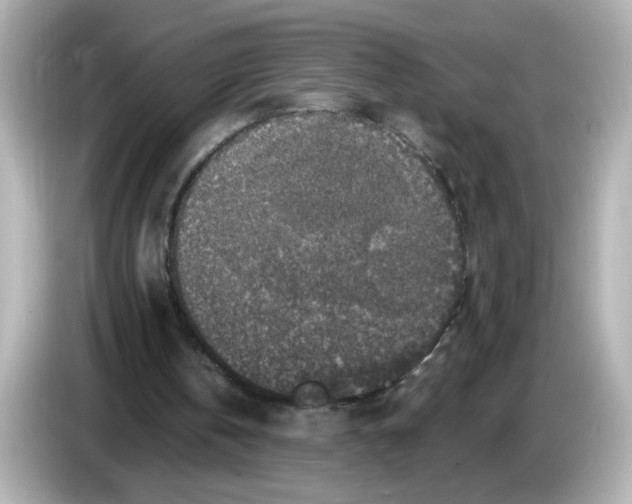 X0000085770146200704091359