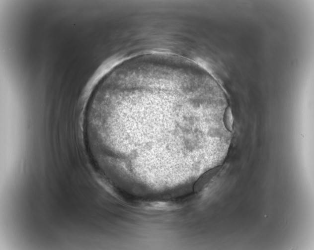 X0000085770151200704091359