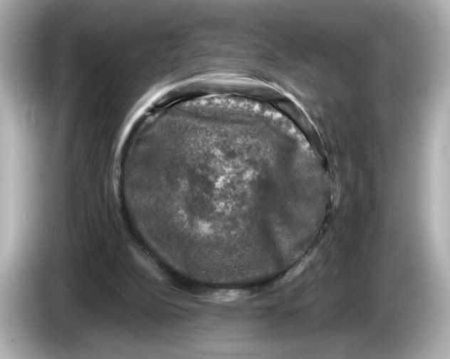 X0000085770152200704091359