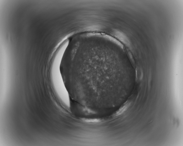 X0000085770156200704091359