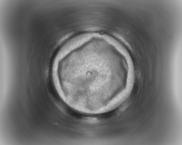 X0000085770159200704091359