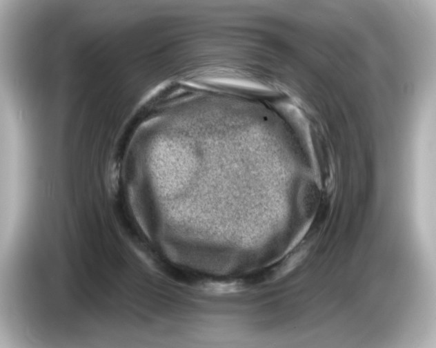 X0000085770160200704091359